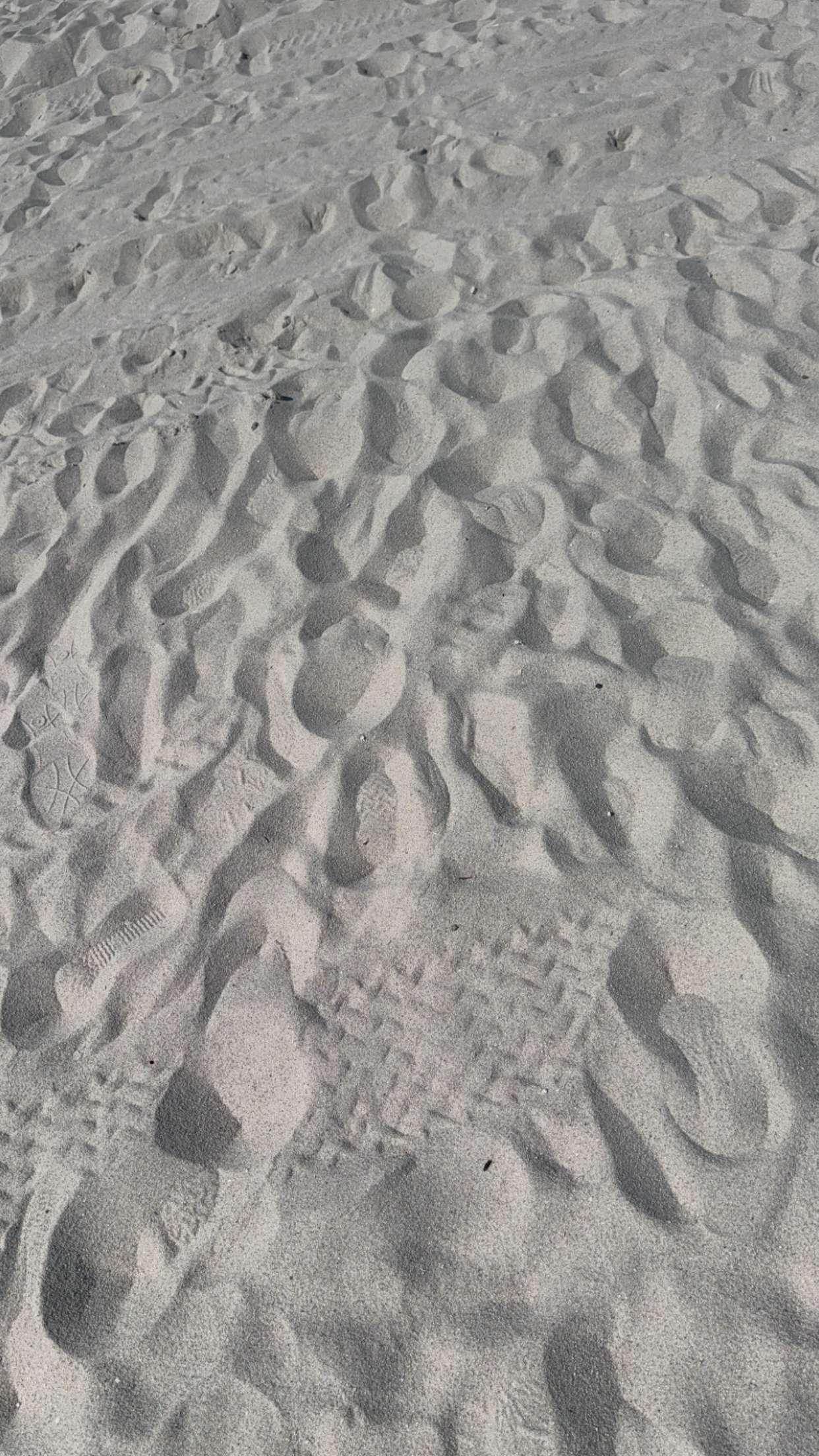 graceboor snapchat image archive image