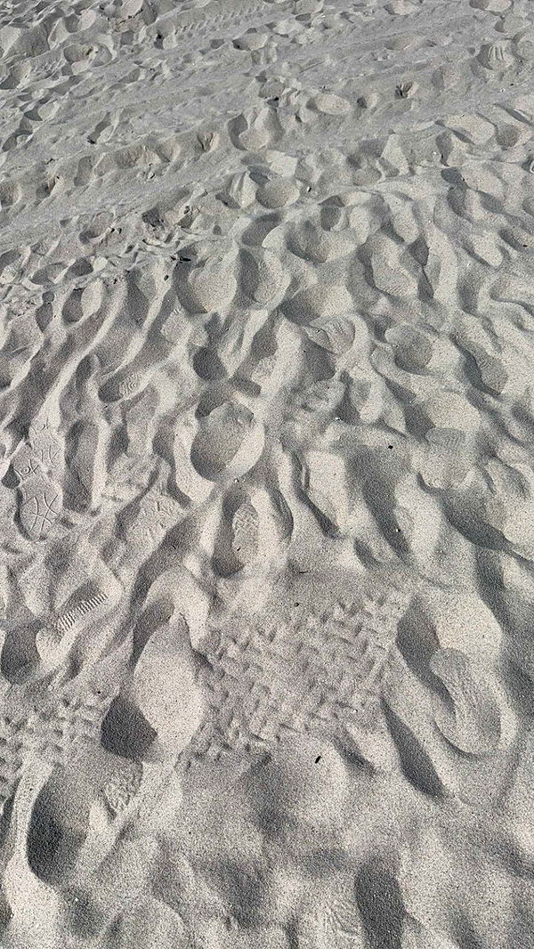 graceboor image ~ Altpins