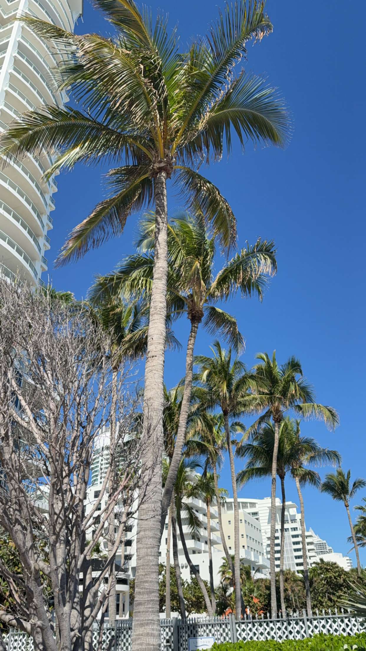 graceboor snapchat image archive image