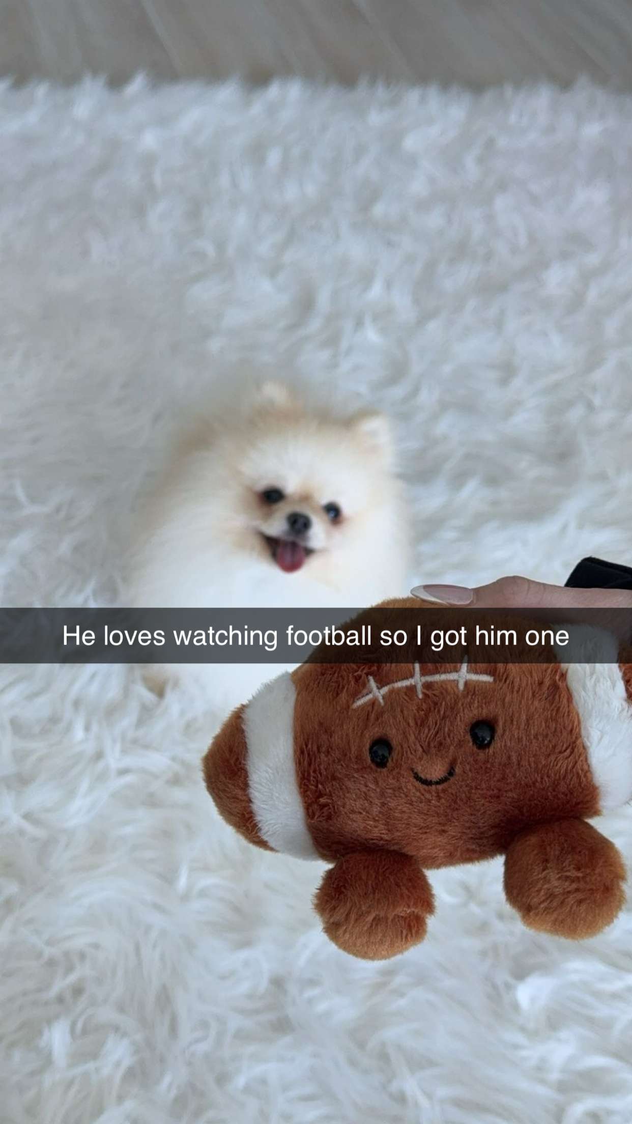 graceboor snapchat image archive image