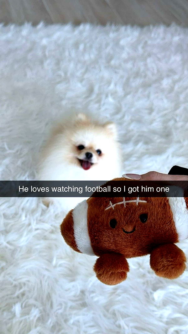 graceboor image ~ Altpins