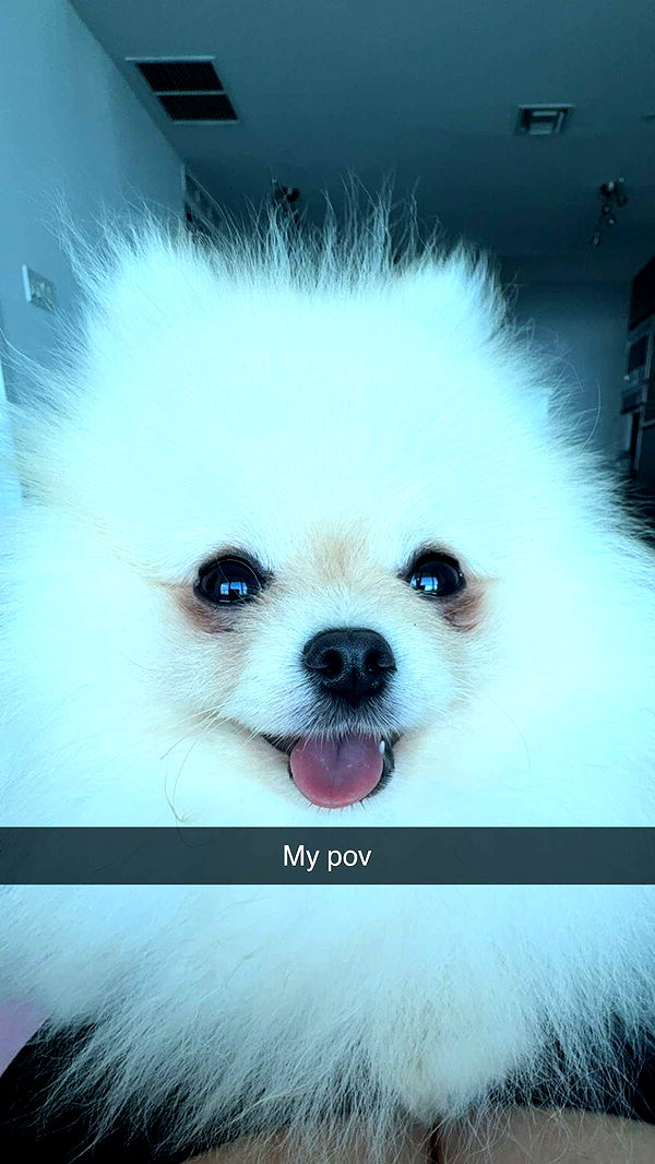 graceboor image ~ Altpins