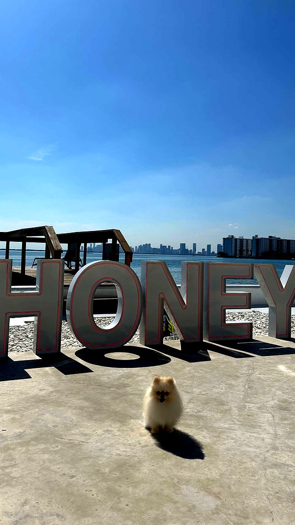 graceboor image ~ Altpins