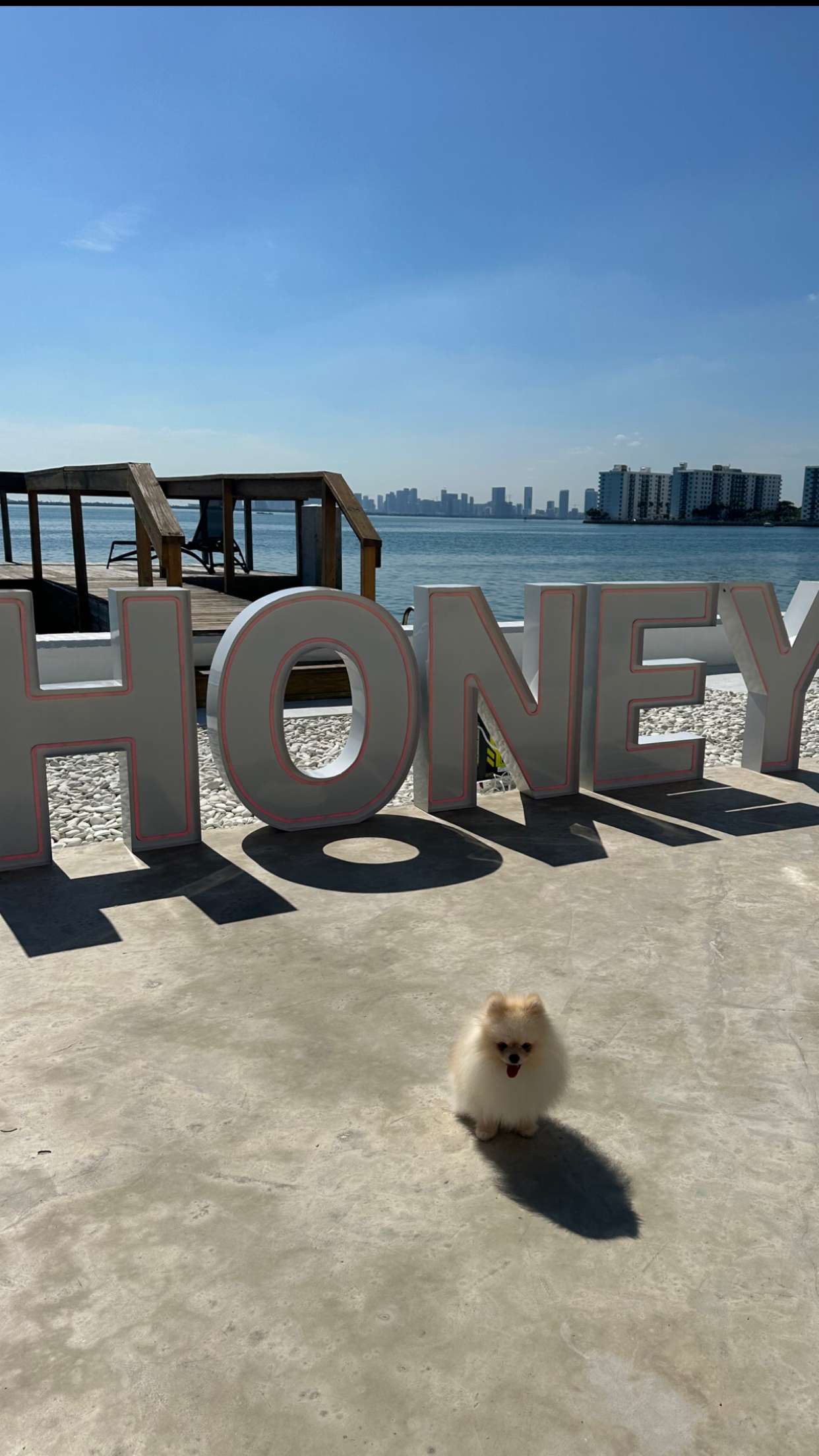 graceboor snapchat image archive image