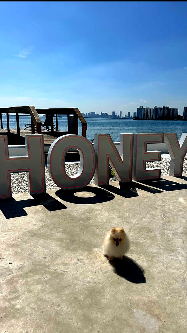 graceboor image ~ Altpins