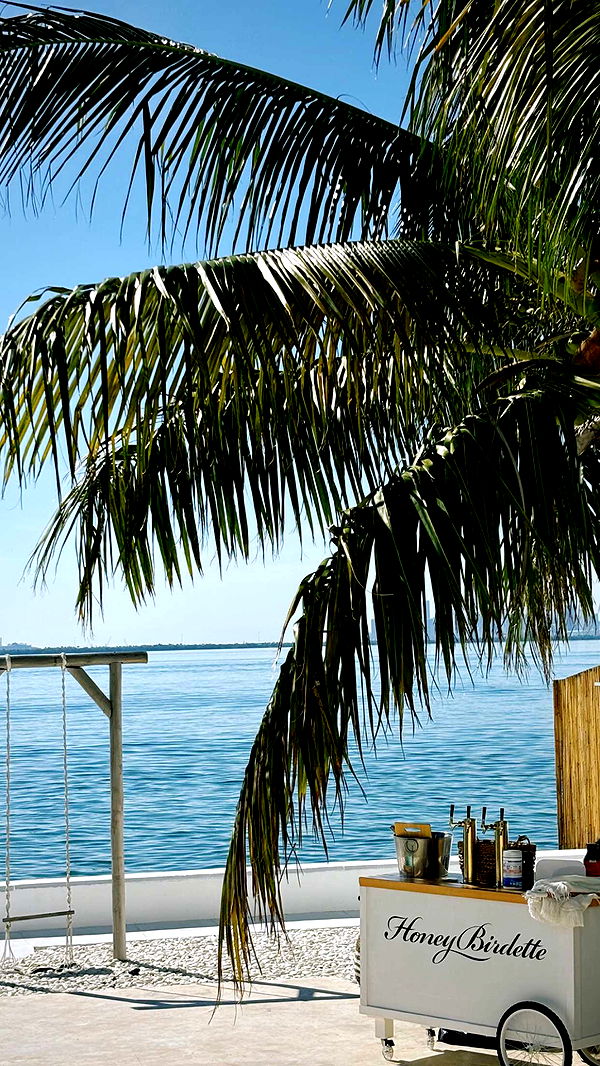 graceboor image ~ Altpins