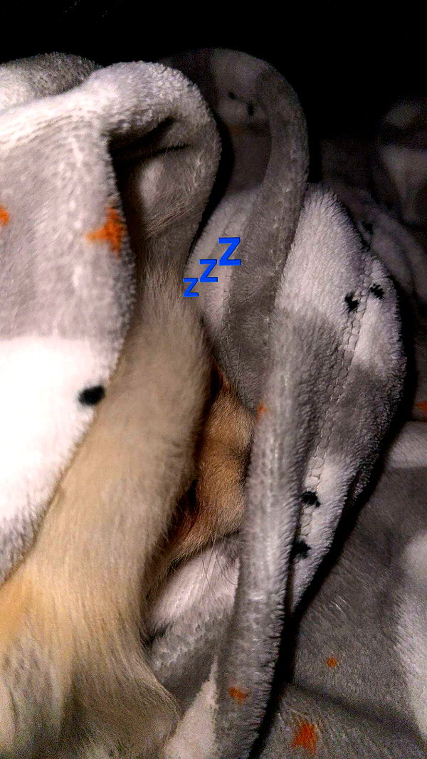 graceboor image ~ Altpins