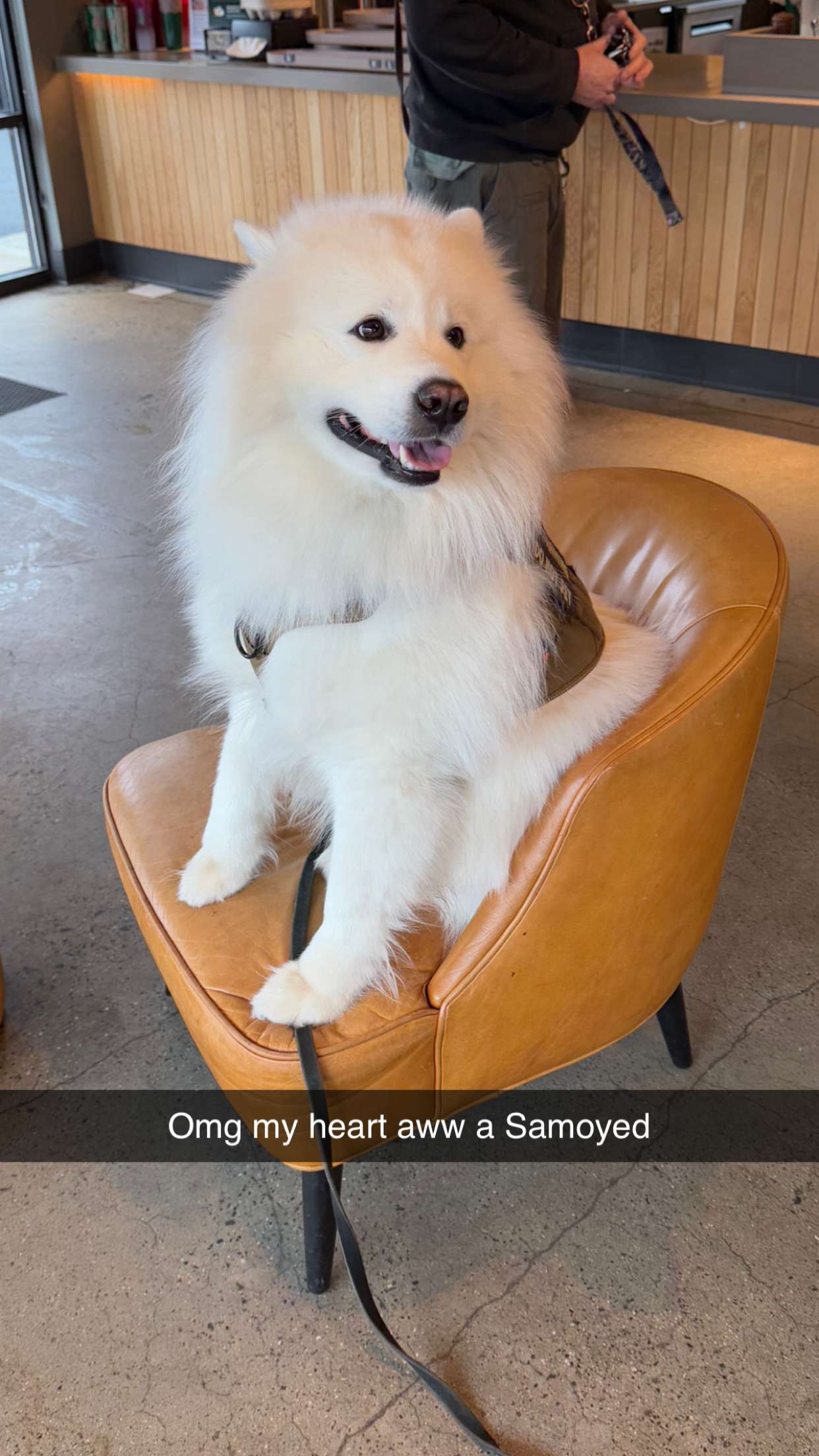 graceboor snapchat image archive image