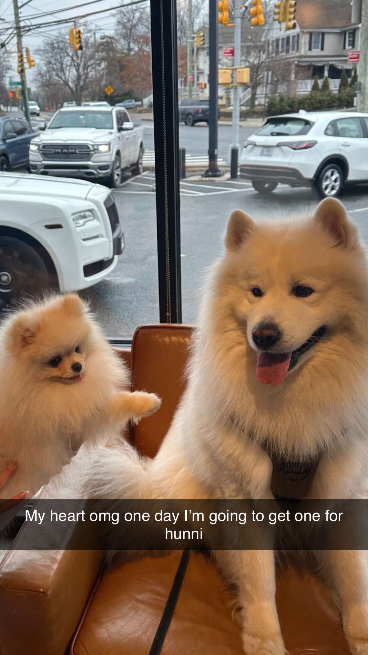 graceboor snapchat image archive image