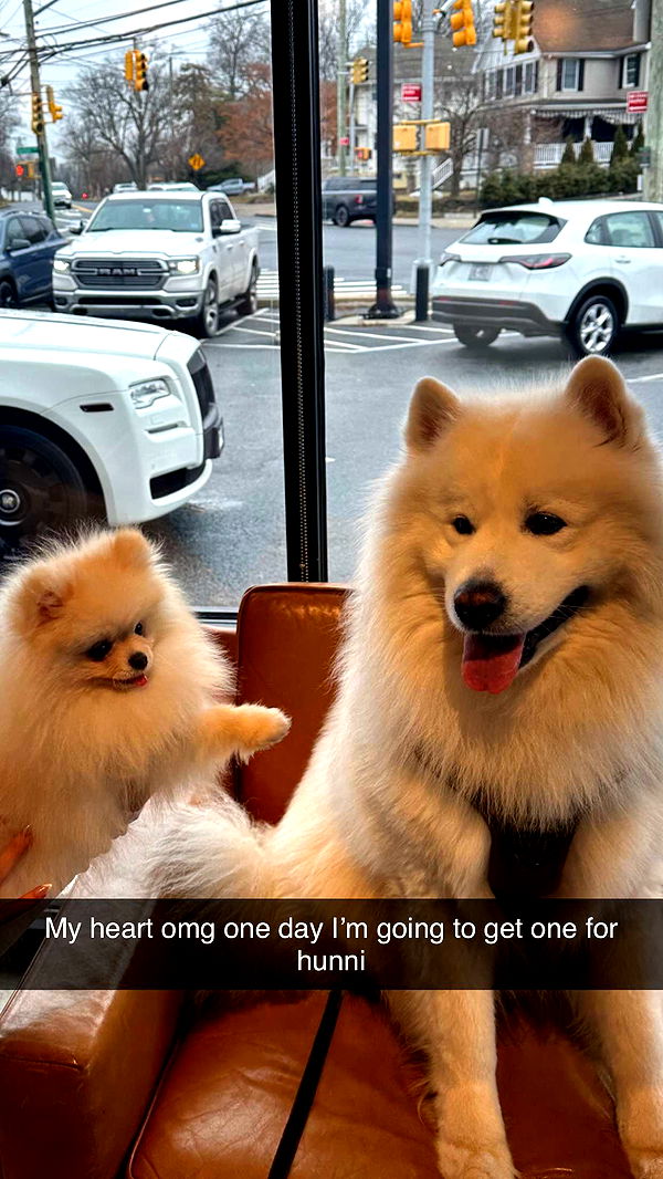 graceboor image ~ Altpins