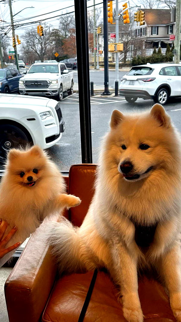 graceboor image ~ Altpins