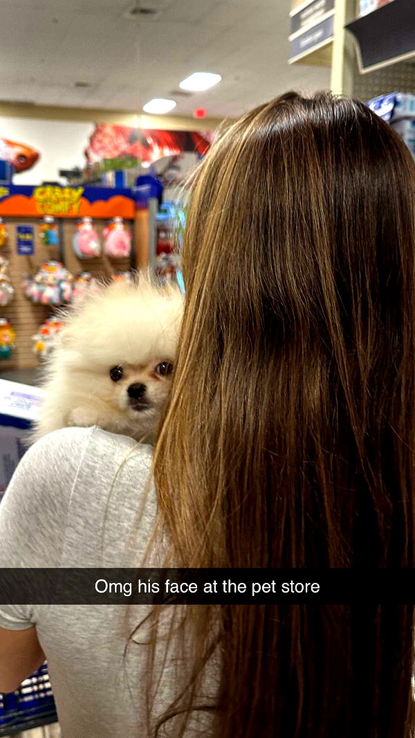 graceboor image ~ Altpins