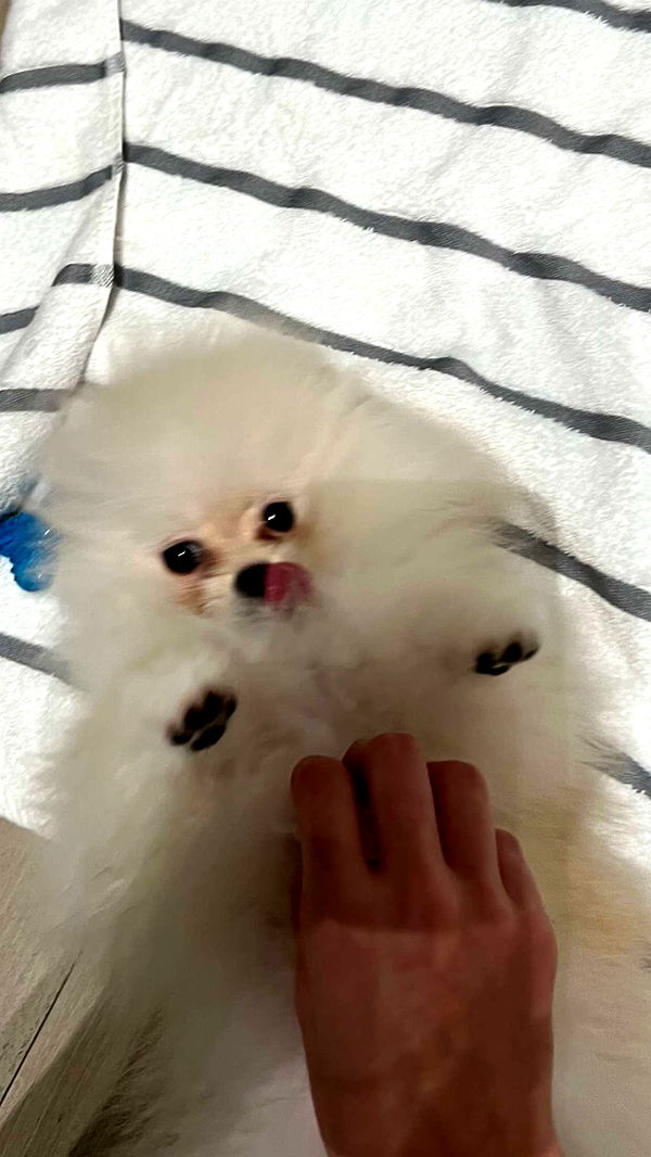 graceboor image ~ Altpins