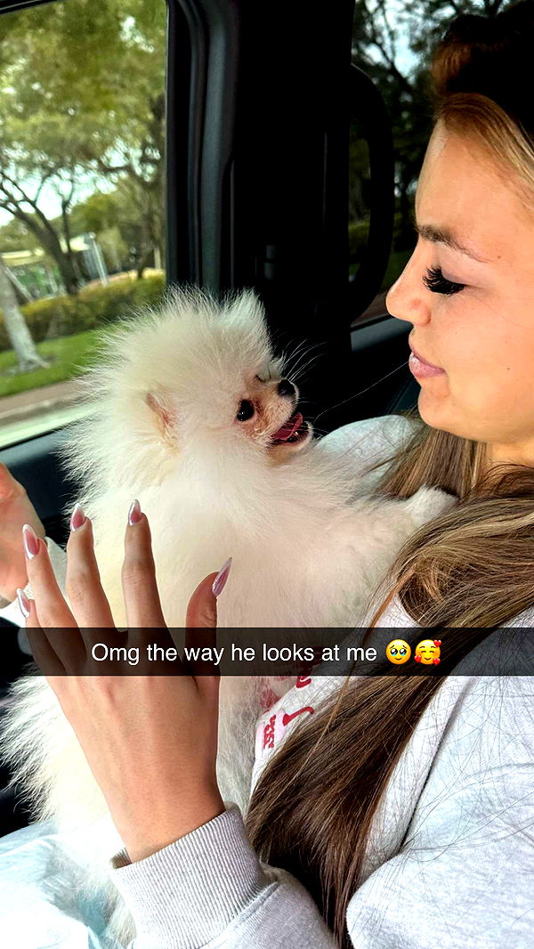 graceboor image ~ Altpins