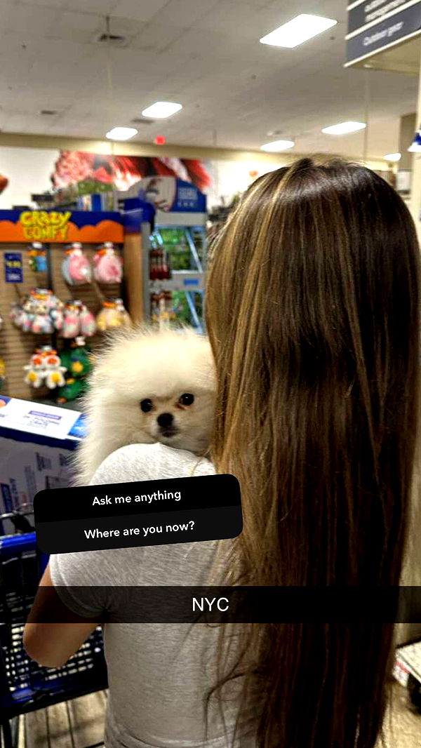 graceboor image ~ Altpins