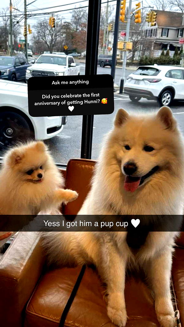 graceboor image ~ Altpins