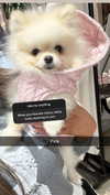 graceboor Altpins Profile Picture