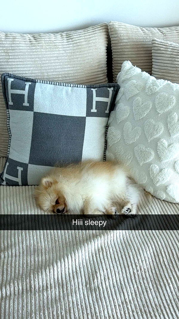 graceboor image ~ Altpins