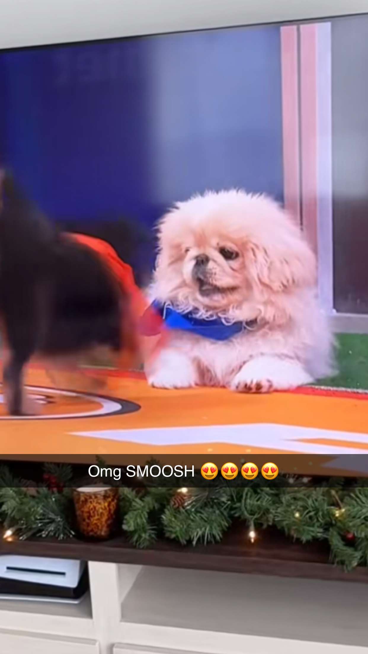 graceboor snapchat image archive image