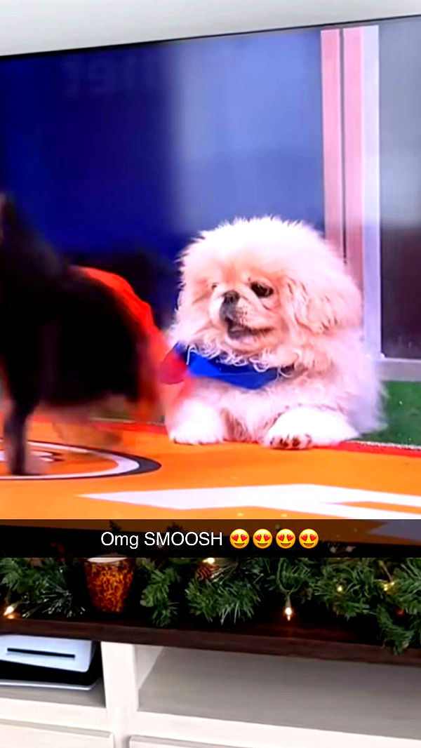 graceboor image ~ Altpins