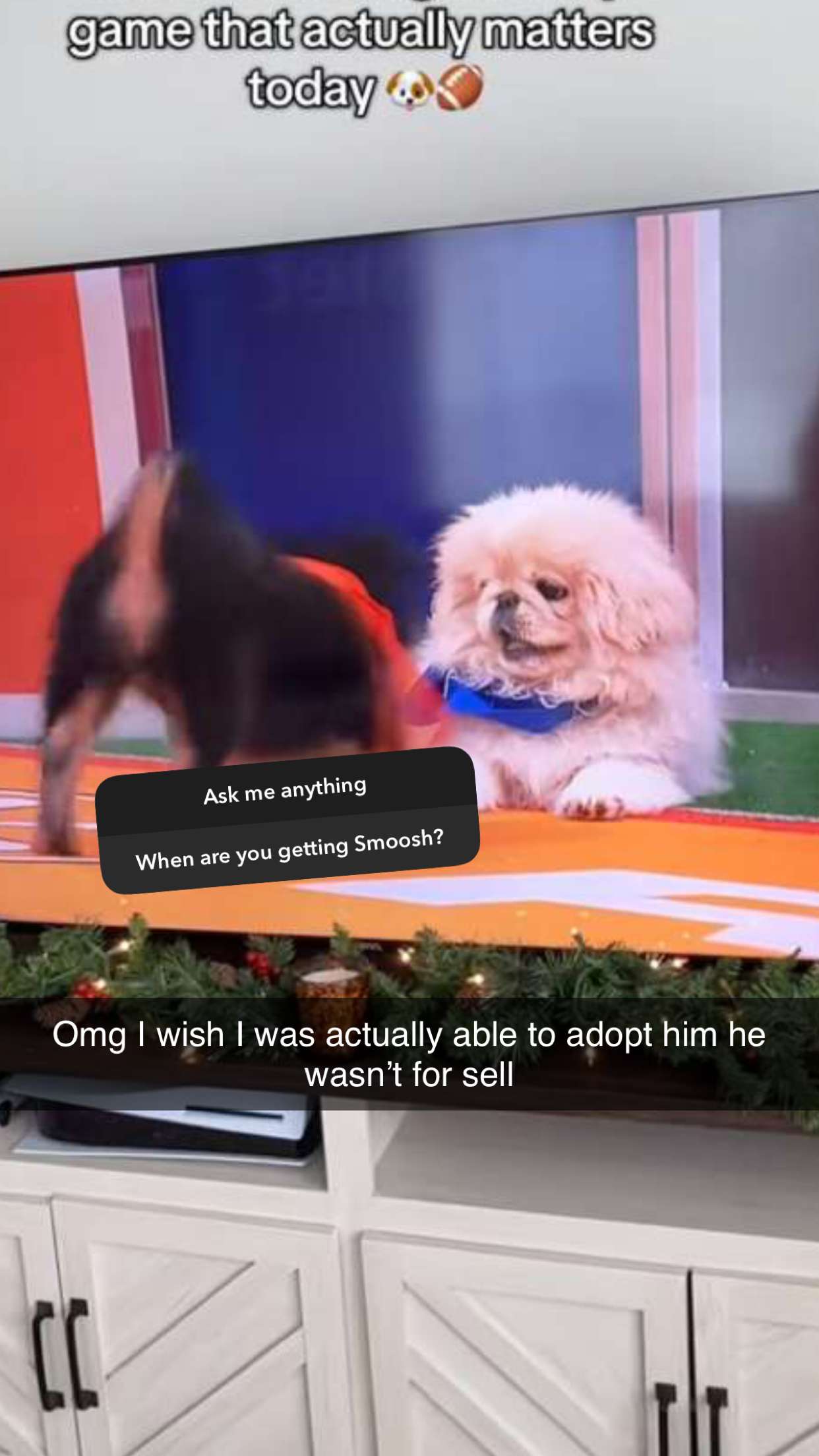 graceboor snapchat image archive image