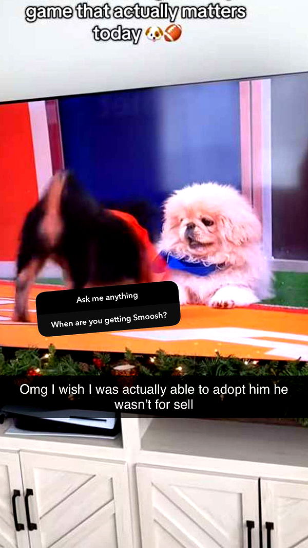 graceboor image ~ Altpins