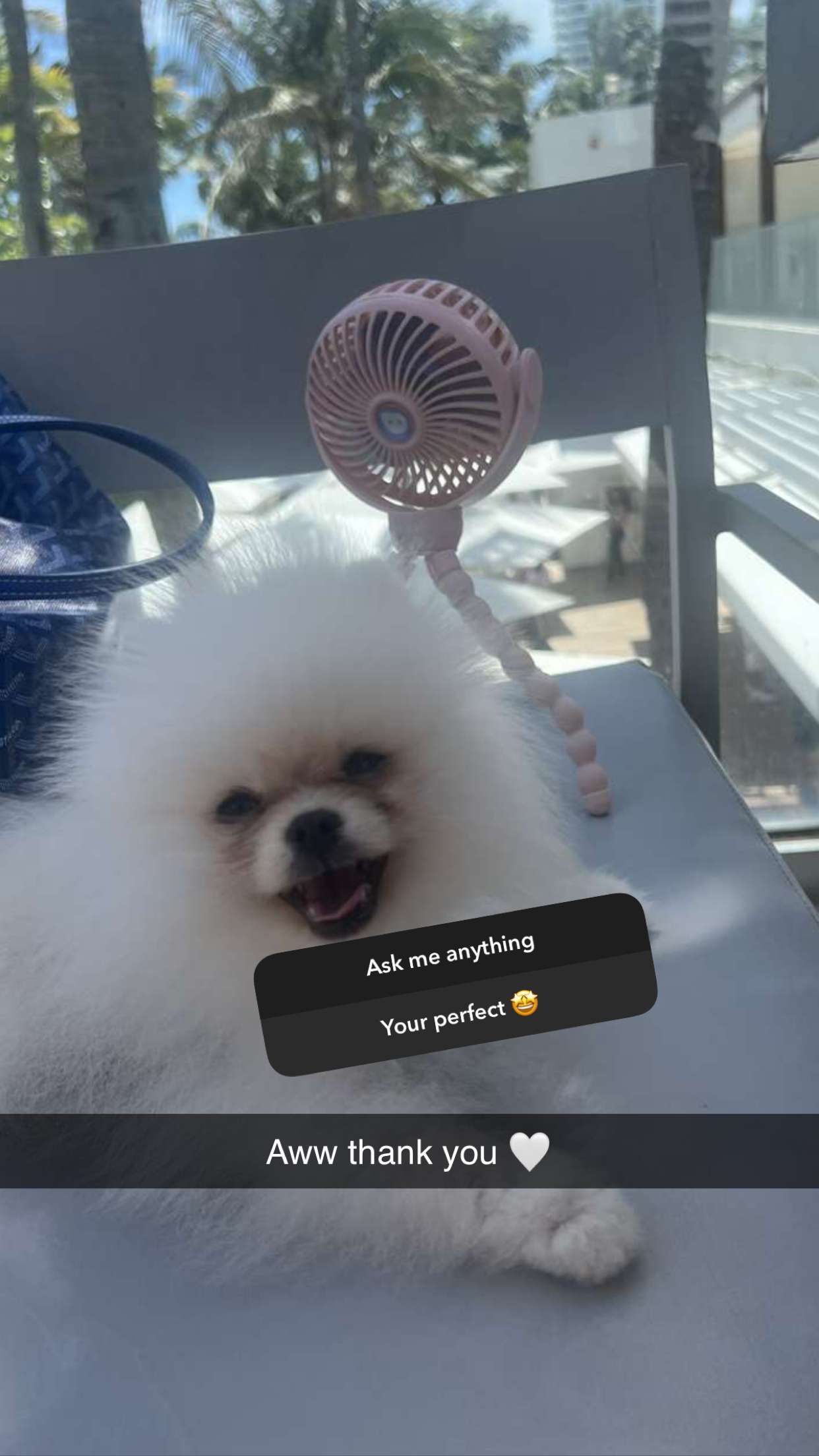 graceboor snapchat image archive image