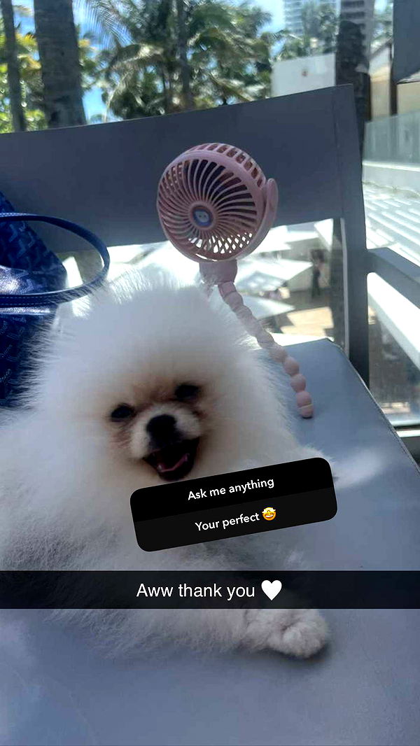 graceboor image ~ Altpins