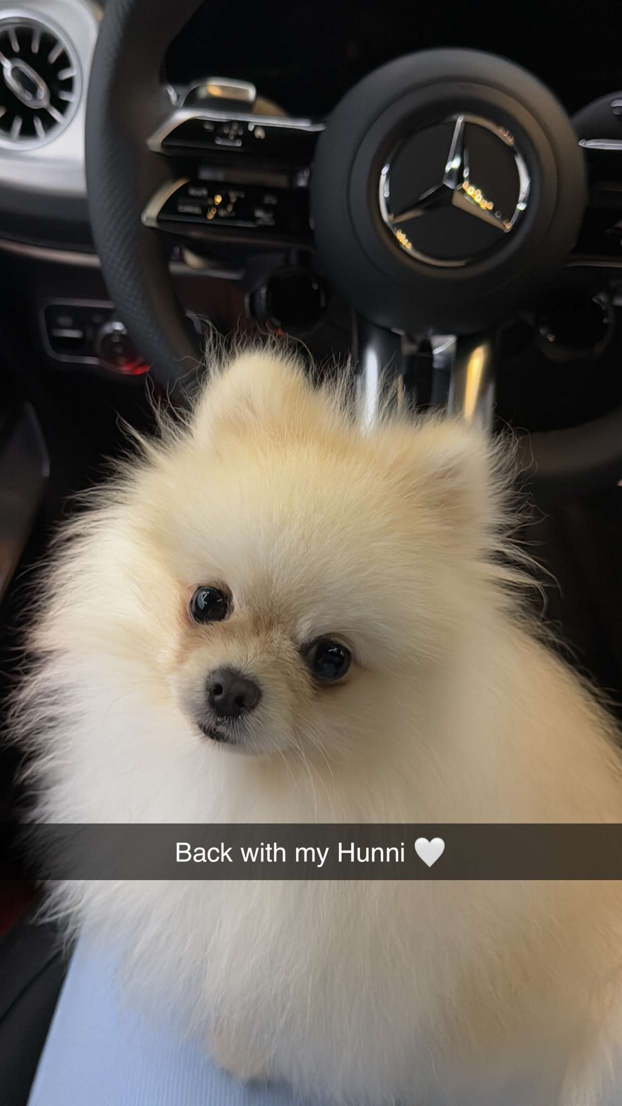 graceboor snapchat image archive image