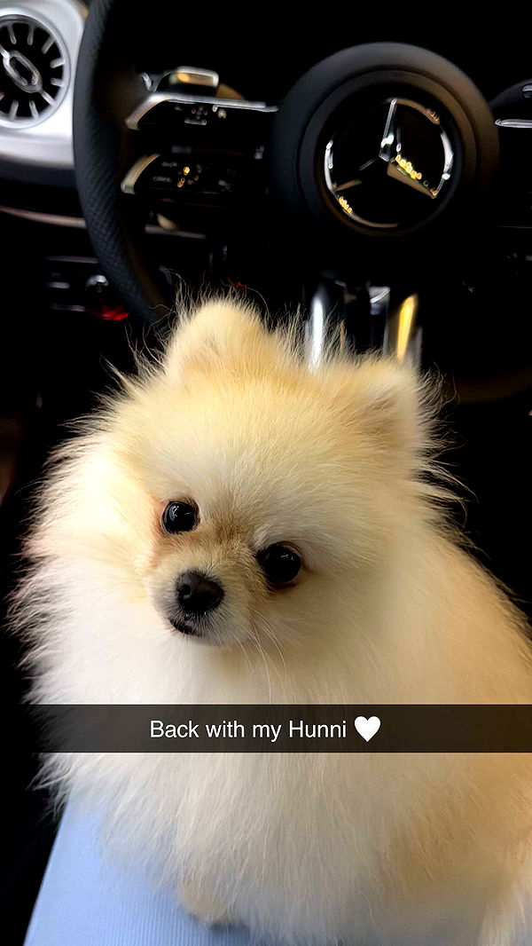 graceboor image ~ Altpins