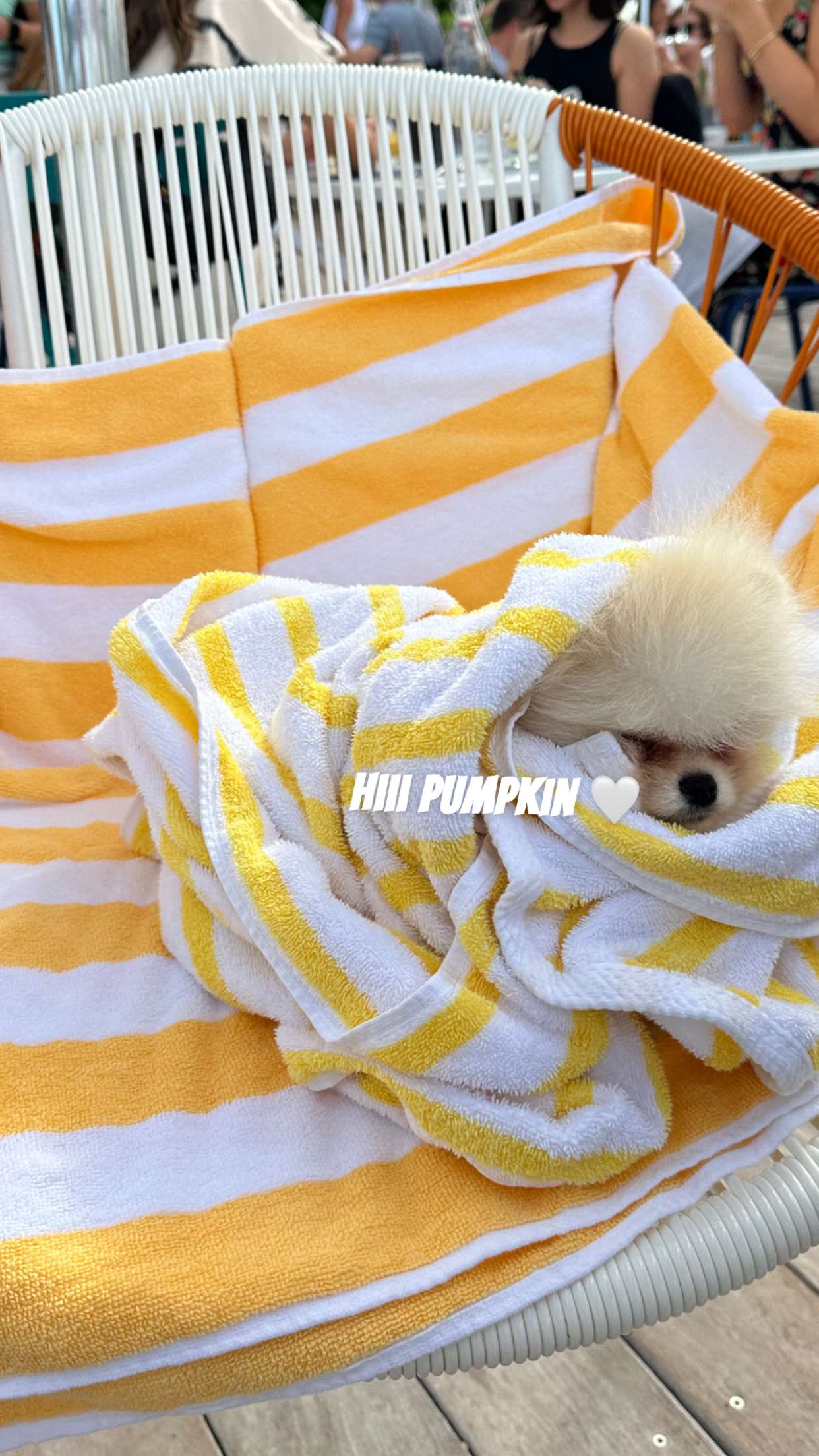 graceboor snapchat image archive image