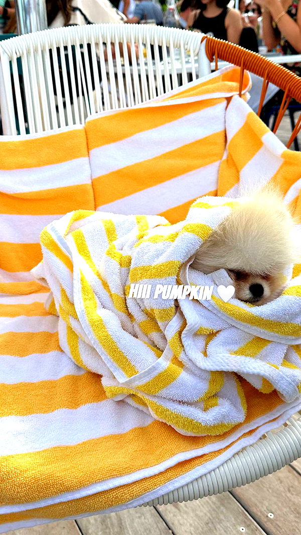 graceboor image ~ Altpins