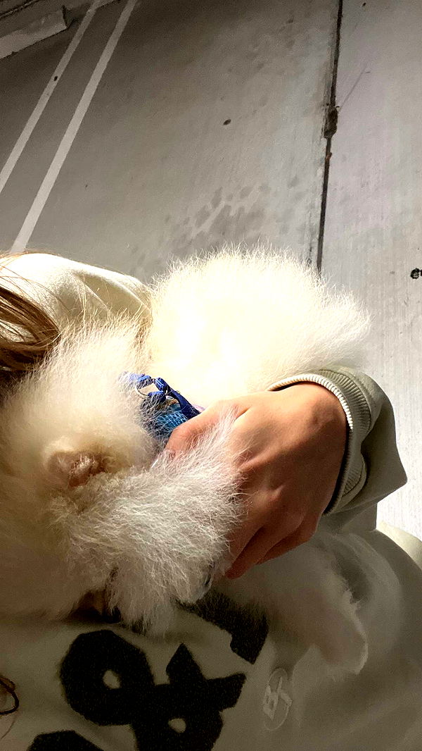 graceboor image ~ Altpins