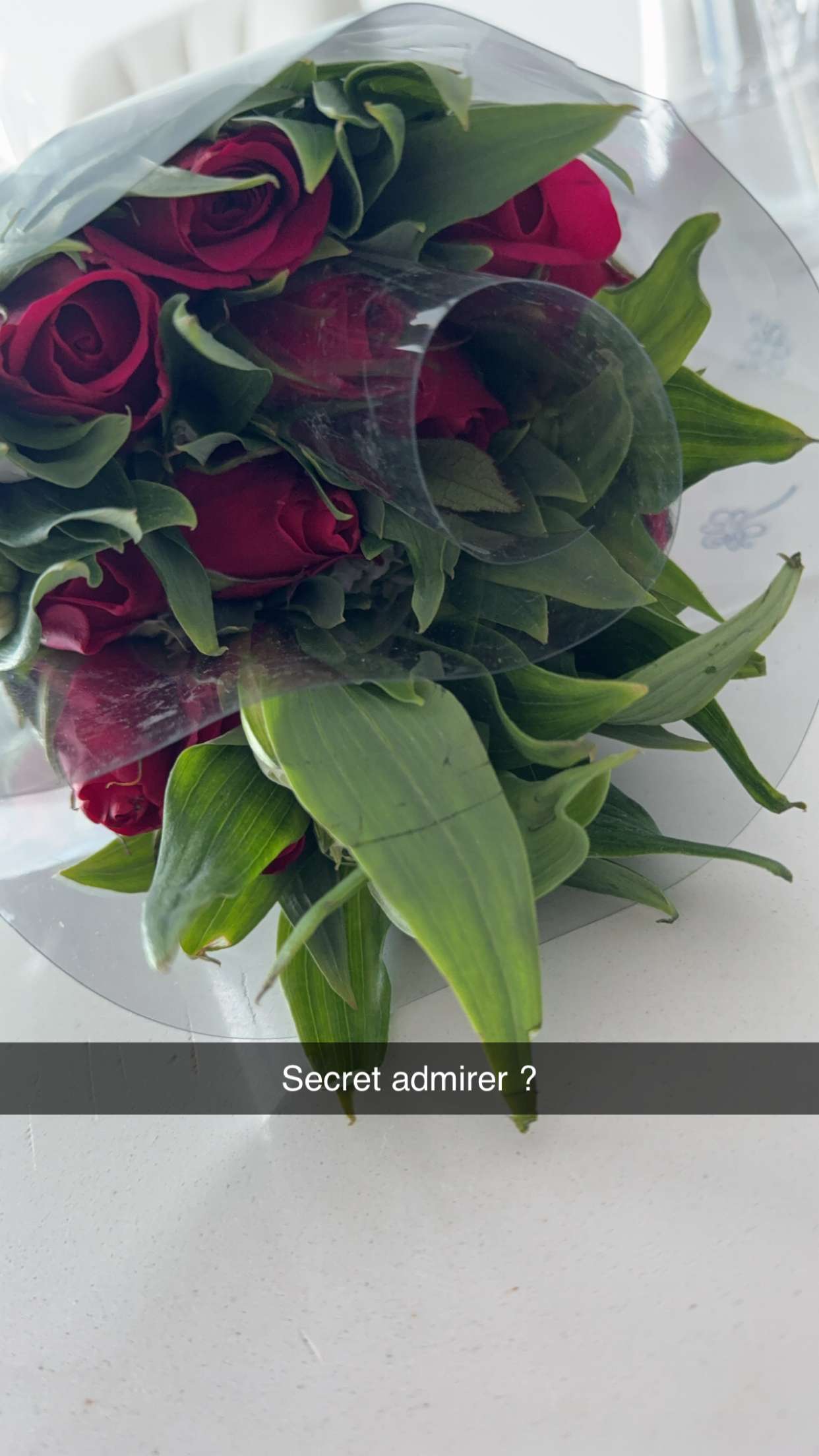 graceboor snapchat image archive image