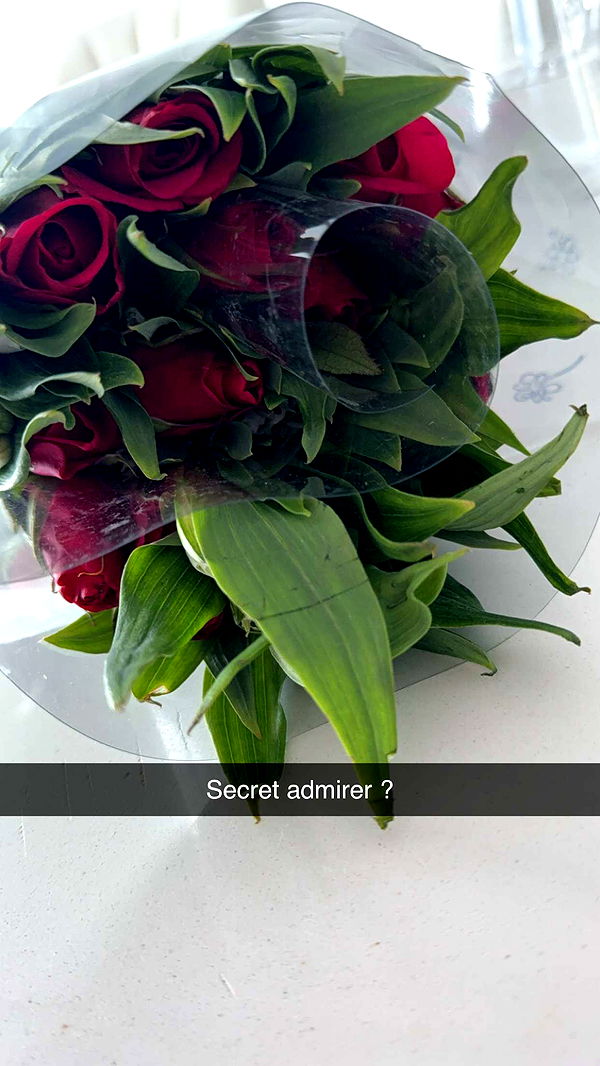 graceboor image ~ Altpins