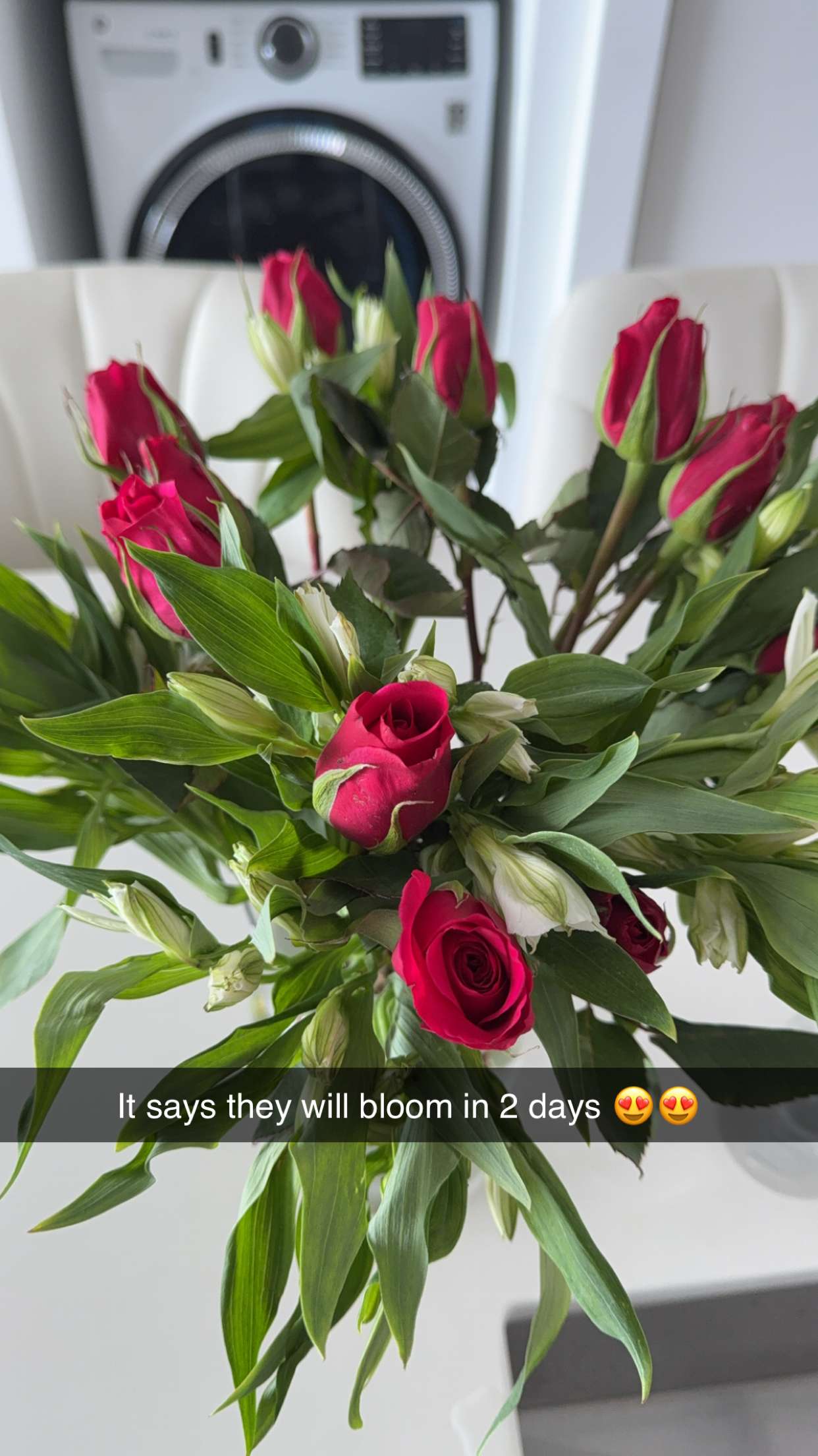 graceboor snapchat image archive image