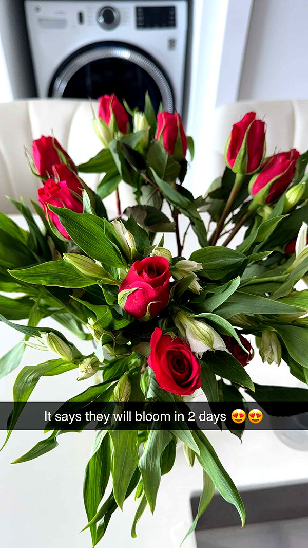 graceboor image ~ Altpins