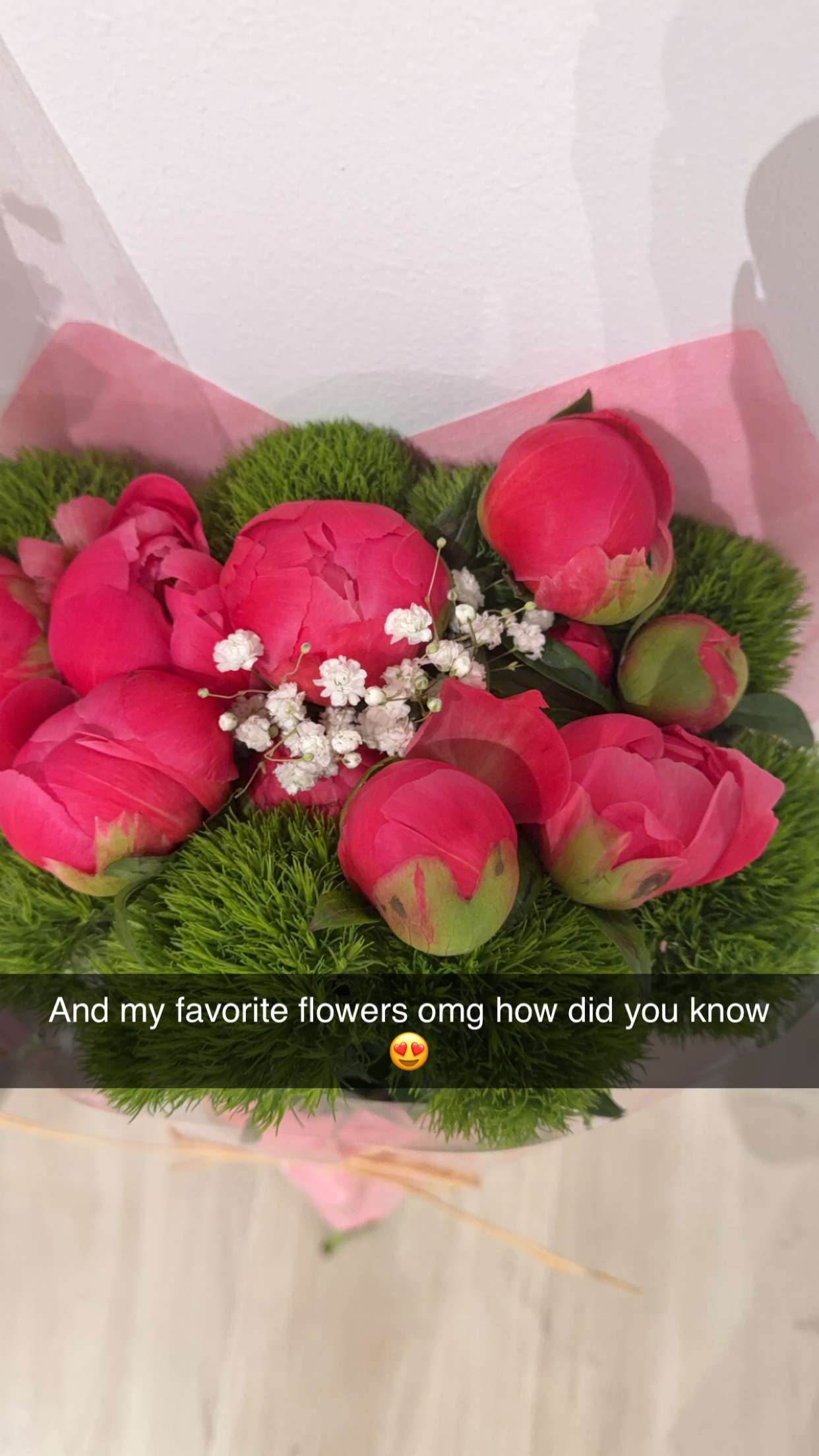 graceboor snapchat image archive image