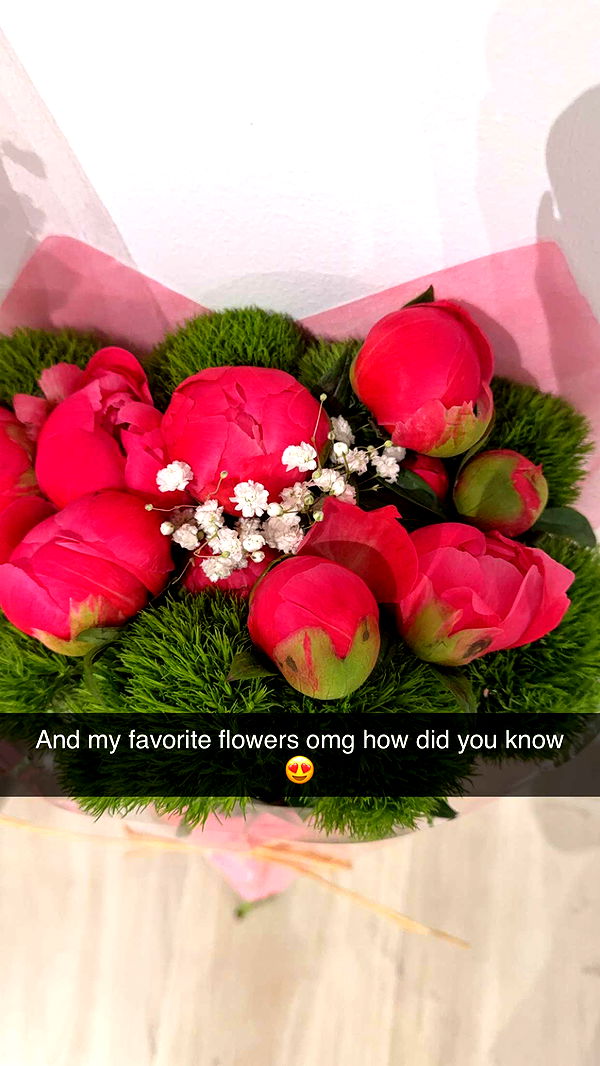 graceboor image ~ Altpins