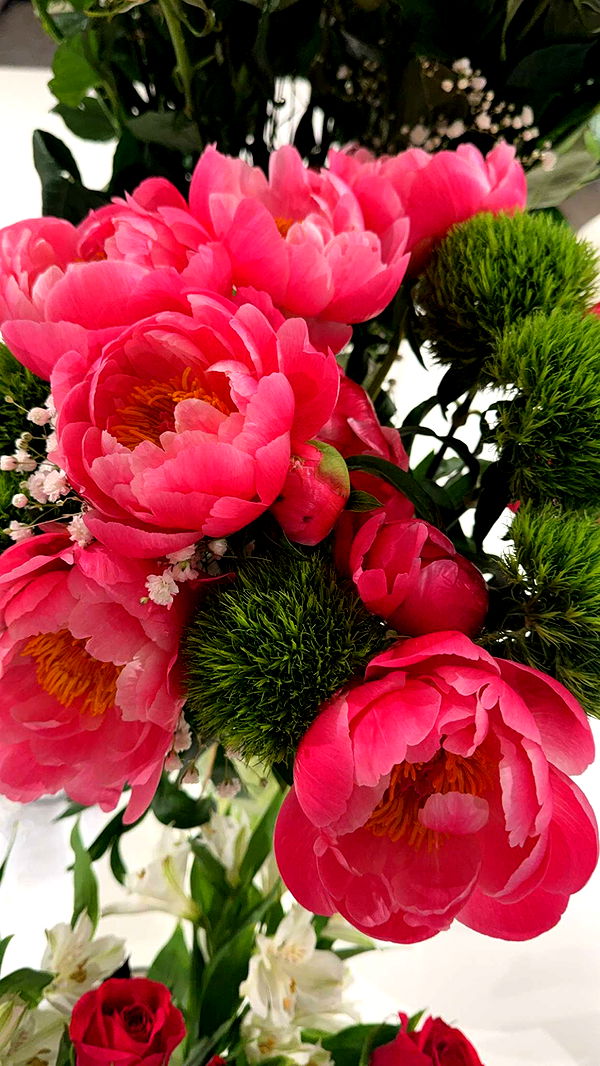 graceboor image ~ Altpins