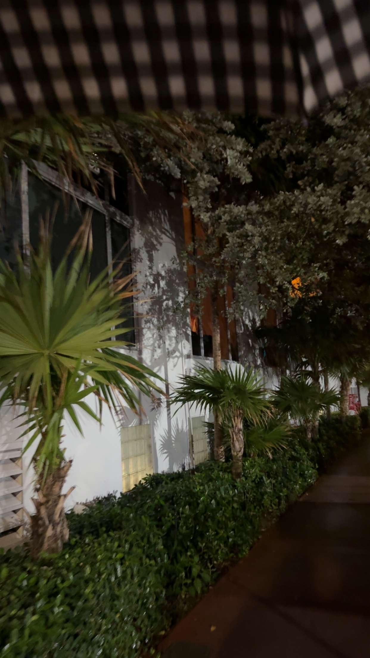 graceboor snapchat image archive image