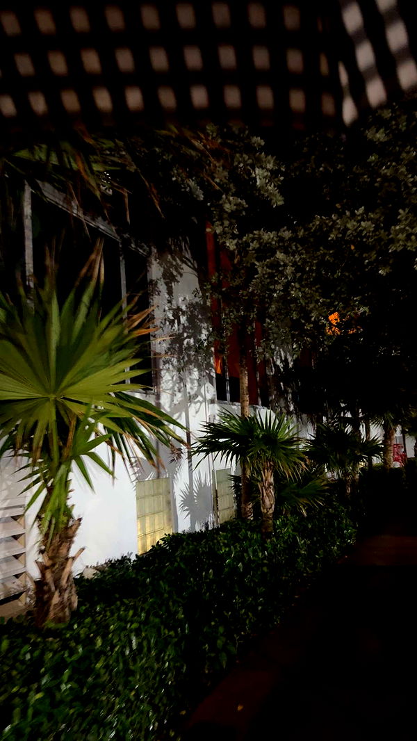 graceboor image ~ Altpins