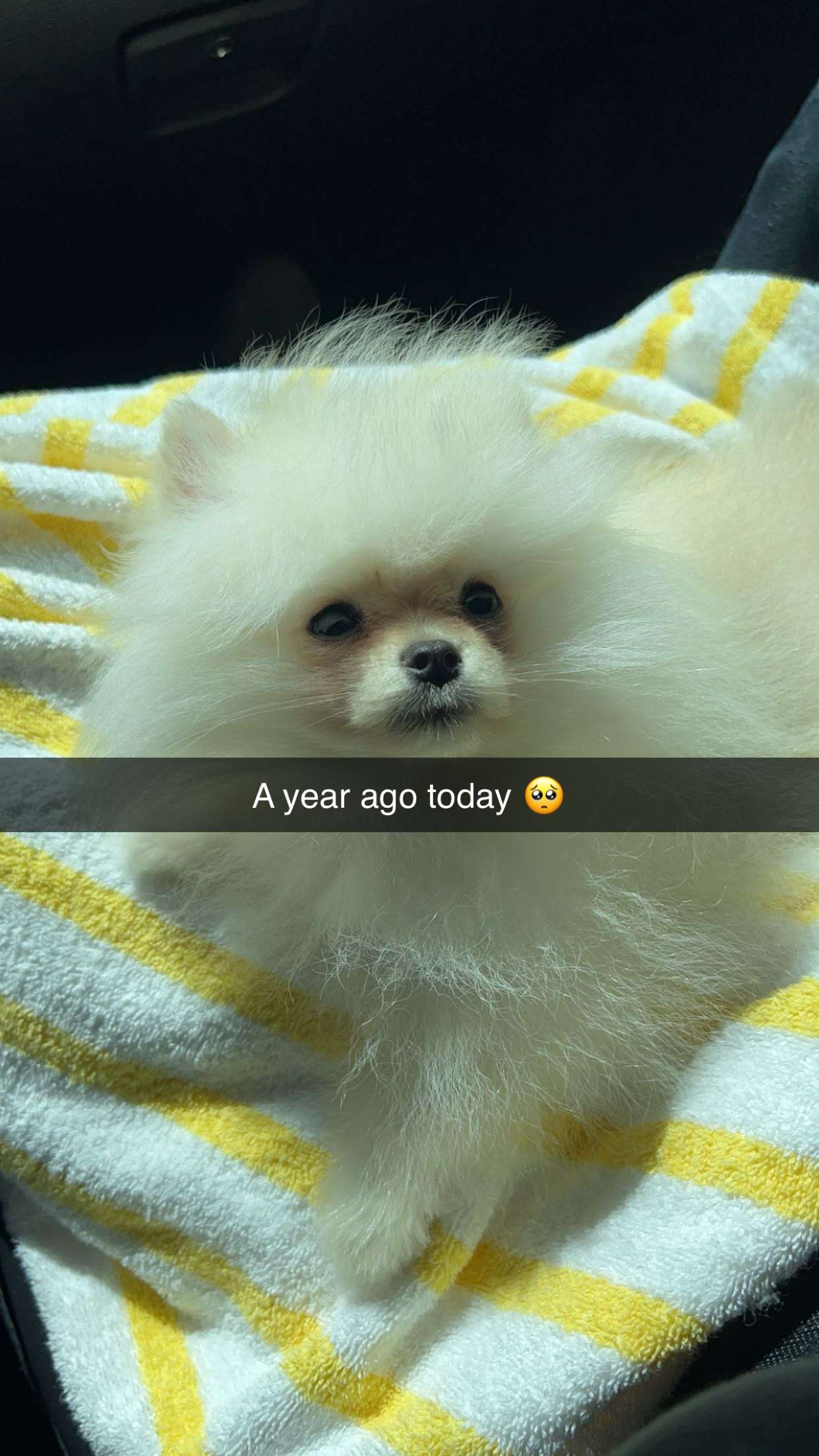 graceboor snapchat image archive image