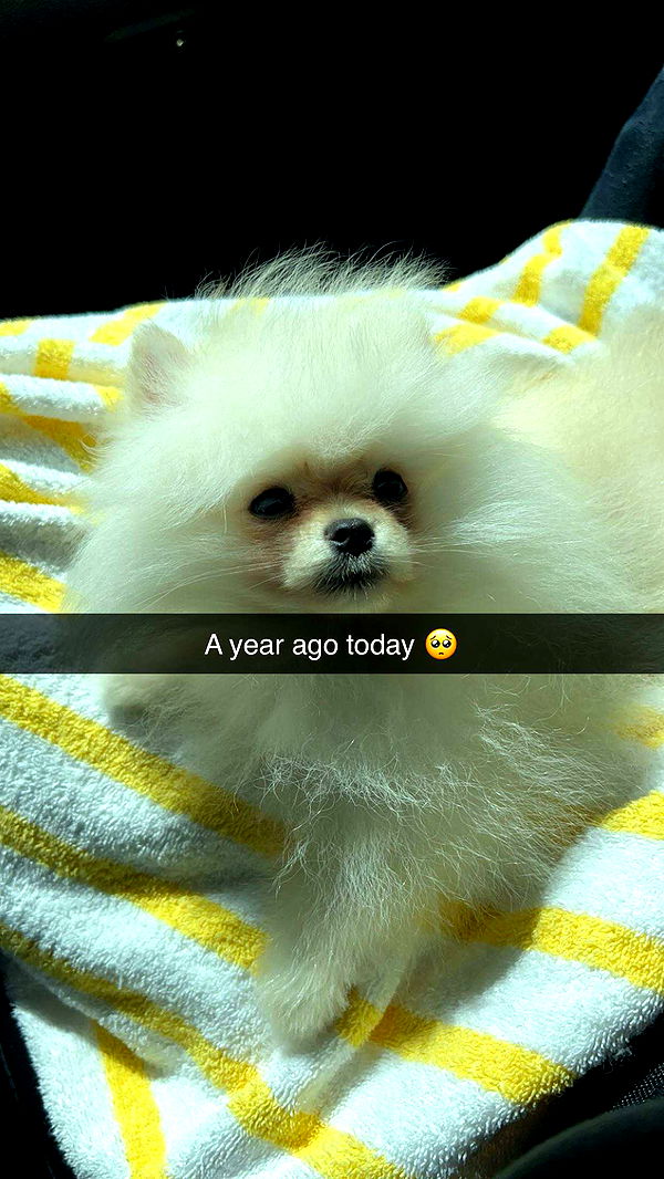 graceboor image ~ Altpins