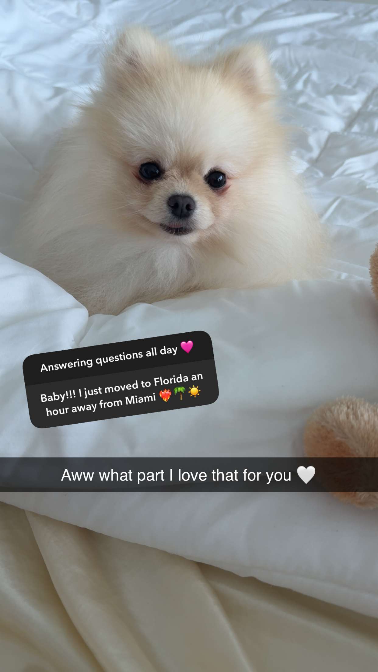 graceboor snapchat image archive image