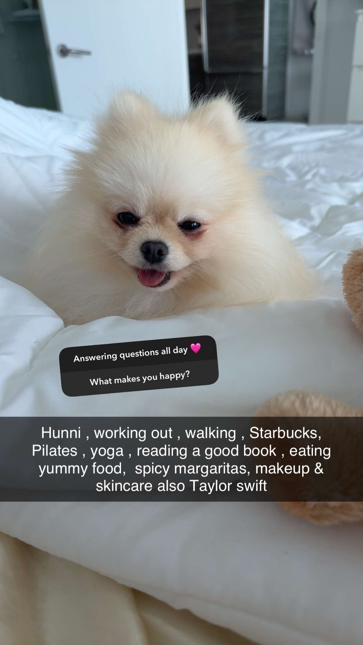 graceboor snapchat image archive image