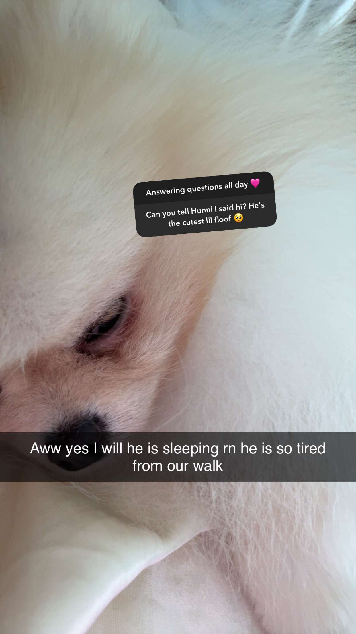 graceboor snapchat image archive image