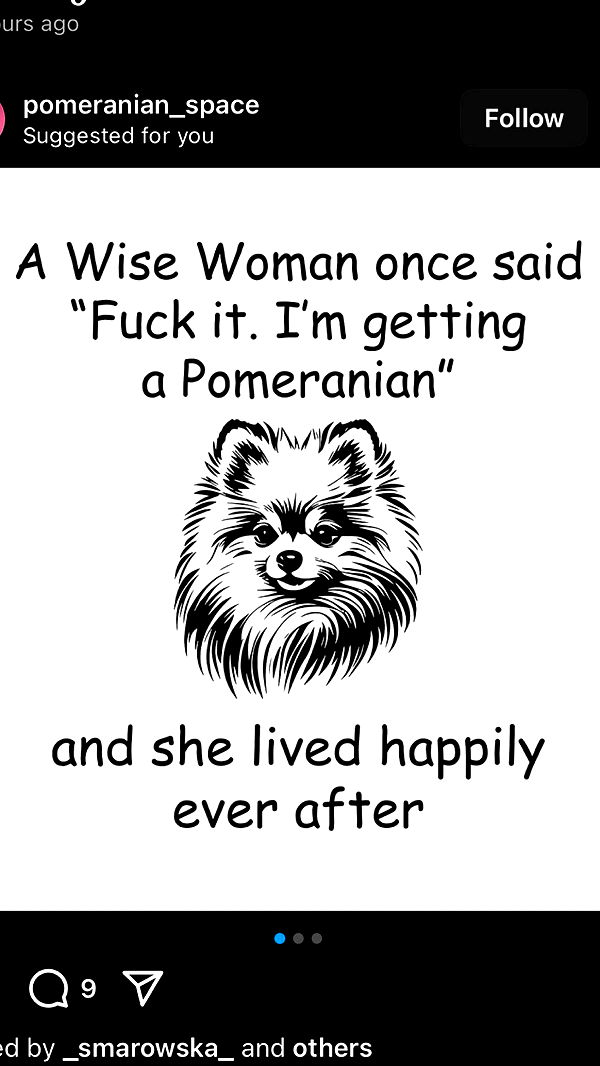 graceboor image ~ Altpins