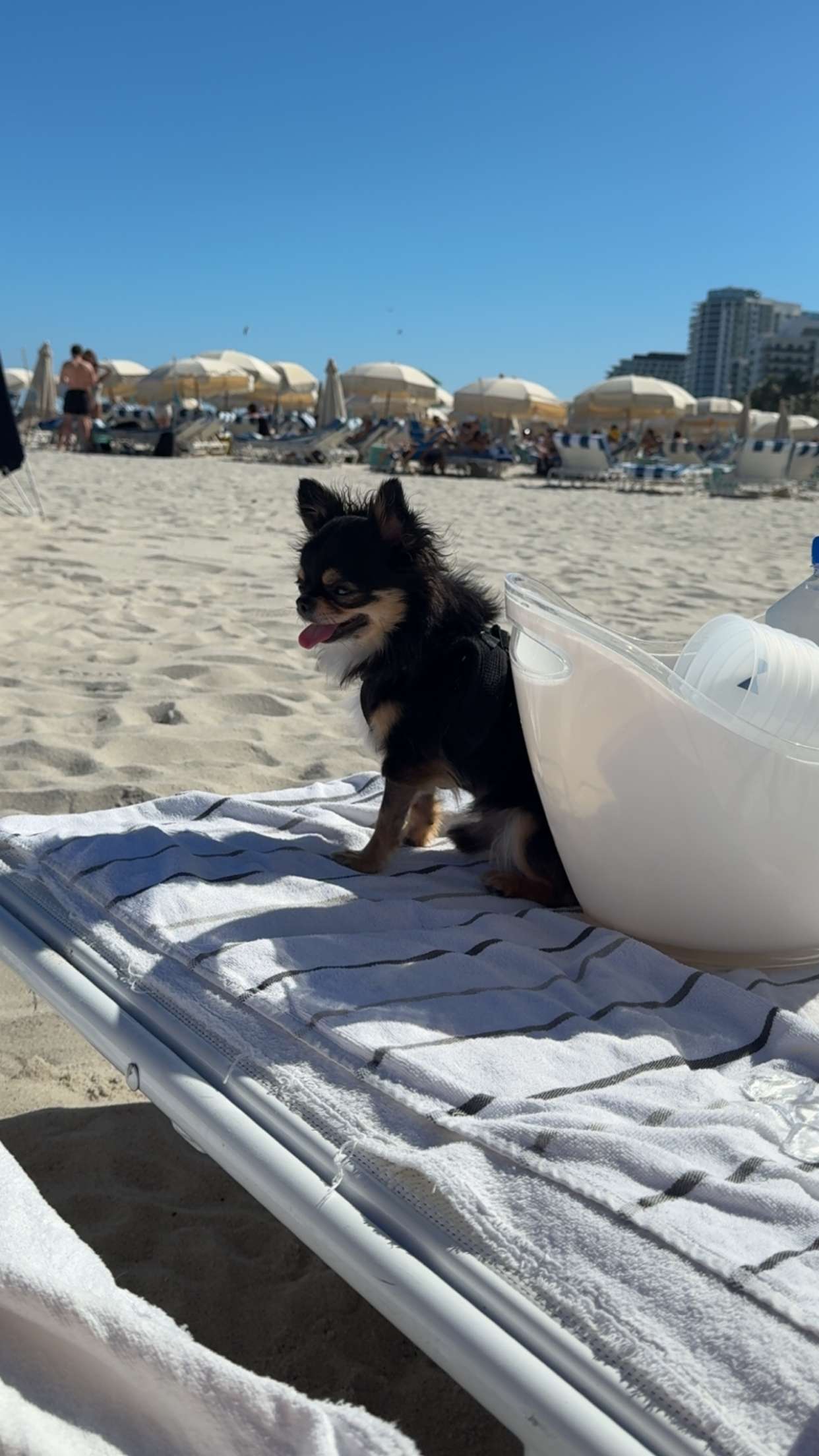 graceboor snapchat image archive image