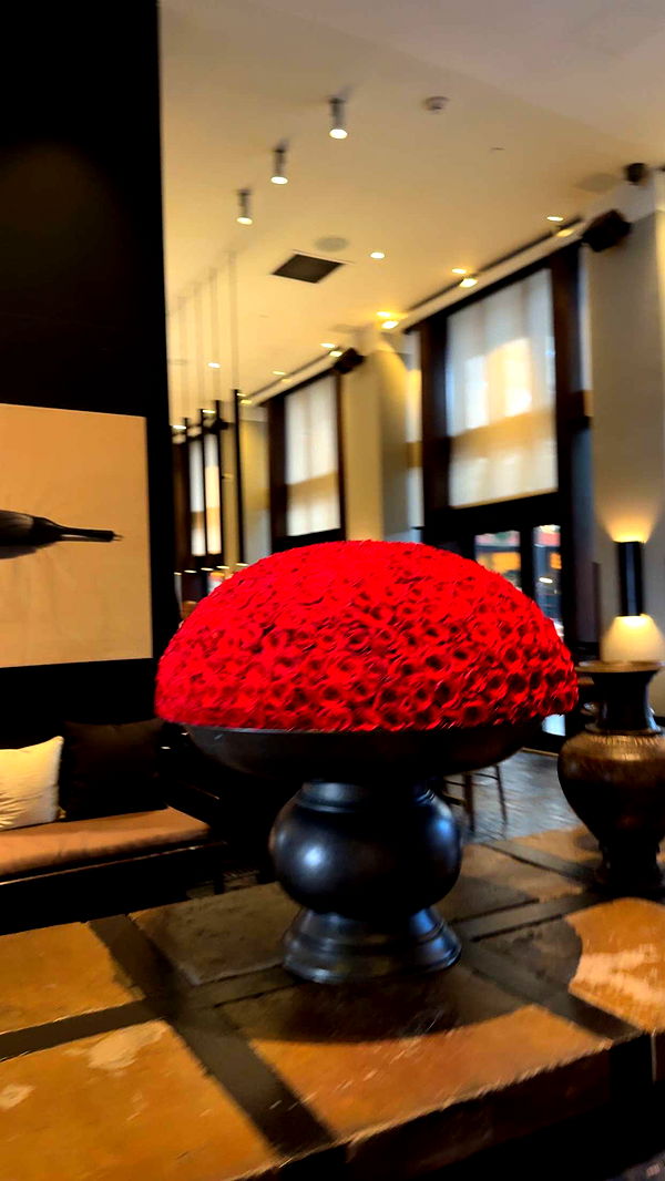 graceboor image ~ Altpins